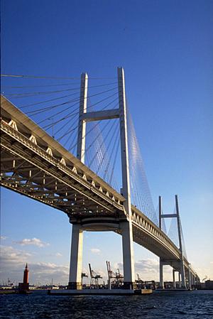 リムジンのレンタルを大阪で頼める業者