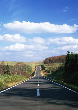 シトロエン名古屋のホームページの特徴