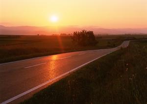 新しい移動販売車が欲しいときは