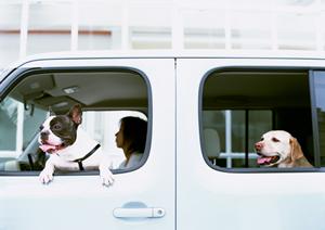 【徹底解説】忙しいあなたに最適！スピーディな車検即日サービスのメリットと選び方